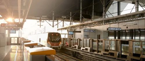 三龍灣南海片區兩大重點工程吹響新年建設發展號角